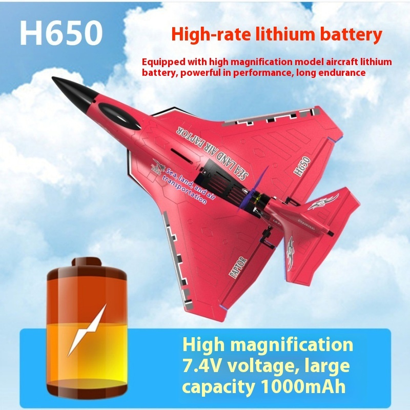 Rc Wing Glider - H650 대형 RC 비행기 방수 및