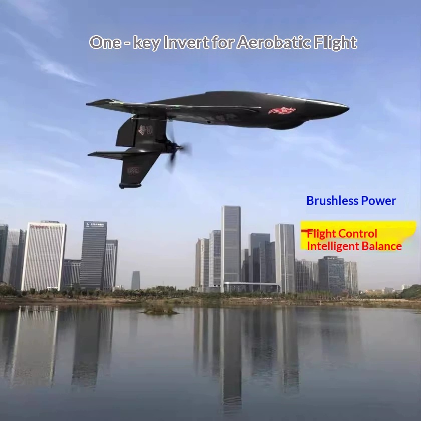 Rc Wing Glider - 6CH RC 항공기 H650 랩터 브러시리스
