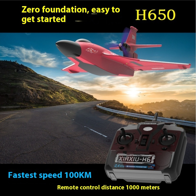 H650 대형 RC 비행기 방수 및 내충격성 육상 및  - Rc Wing Glider 리뷰 및 가격