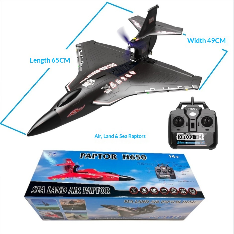 6CH RC 항공기 H650 랩터 브러시리스 모터 고정 - Rc Wing Glider 리뷰 및 가격