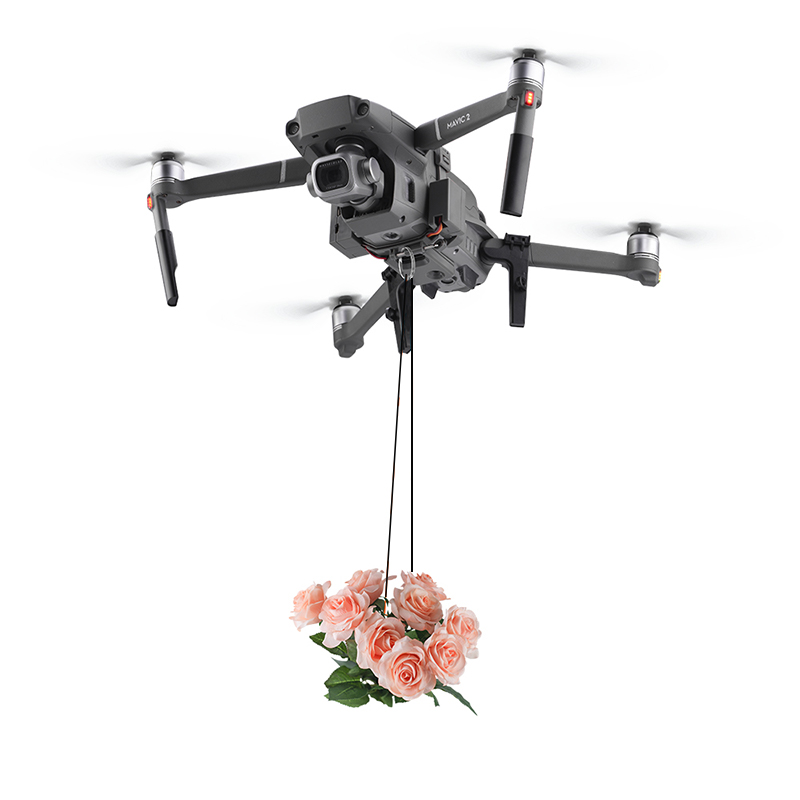 DJI Mavic 2 Pro/Zoom Drone Rin - Drone Rc N2 리뷰 및 가격
